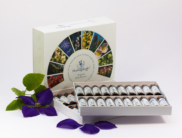 Bach-Blueten-Therapie Bach-Blueten-Therapie